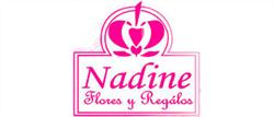 Nadine Flores Y Regalos en Veracruz (Reforma) - Horario de apertura