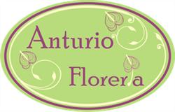Anturio Floreria en Cuernavaca (Tetela Del Monte) - Horario de apertura