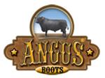 Angus Boots en León de los Aldama (Desarrollo Baleares) - Horario de apertura