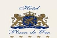 Hotel Plaza De Oro en Monterrey (Centro) - Horario de apertura