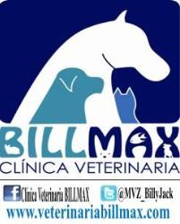 Clínica Veterinaria BILLMAX en Ciudad de México (Iztacalco) - Horario de apertura