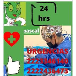 Pascal Hospital & Boutique en Puebla (Huexotitla) - Horario de apertura