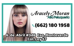 Aracely Moran Alta Peluquería en Hermosillo (Ley 57) - Horario de apertura
