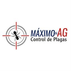 Maximo Control De Plagas en Veracruz (Chapultepec) - Horario de apertura