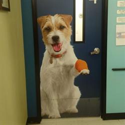 Clinica Veterinaria Akela en Tlalnepantla de Baz (La Romana) - Horario de apertura