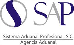 Sistema Aduanal Profesional, S.c en Veracruz (Ricardo Flores Magón) - Horario de apertura