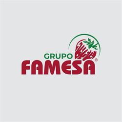 Famesa Fábrica de Mermeladas, S.A. de C.V en Arandas (Arandas Centro) - Horario de apertura