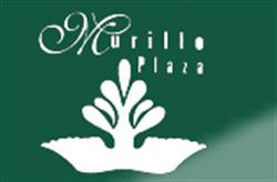 Hotel Murillo Plaza en Guanajuato (Centro) - Horario de apertura