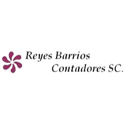 Reyes Barrios Contadores S.C. en Saltillo (La Salle) - Horario de apertura