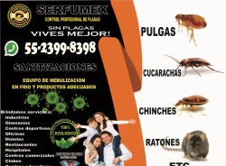 Serfumex Control De Plagas en Ciudad de México (Álvaro Obregón) - Horario de apertura