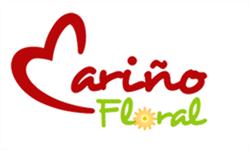 Floreria, Cariño Floral en Monterrey (Cumbres 2 Sector) - Horario de apertura