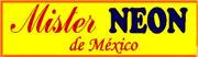 Mister Neon de México en San Antonio Necua (Francisco Zarco) - Horario de apertura