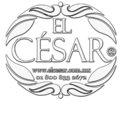 El Cesar - Diseño en Acabados y Decoracion en León de los Aldama (Obregón) - Horario de apertura