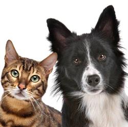 Veterinaria Loma Linda en Monterrey (Col Loma Linda Monterrey Nuevo) - Horario de apertura