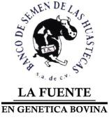Banco De Semen De Las Huastecas S.a. De C.v en Tampico (Minerva) - Horario de apertura