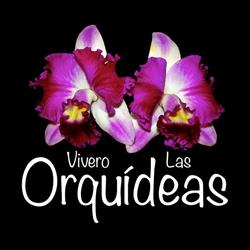 Vivero Las Orquideas en Mérida (Cholul) - Horario de apertura