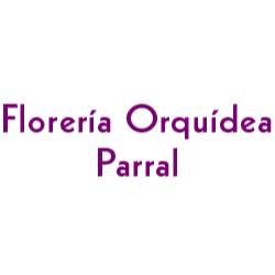 Florería Orquídea Parral en Hidalgo del Parral (Centro) - Horario de apertura