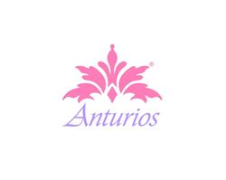 Anturios Salones Y Jardin en Toluca de Lerdo (Villa Hogar) - Horario de apertura