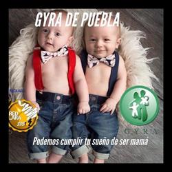 Centro De Ginecologia Y Reproducion Asistida en Puebla (Belisario Domínguez) - Horario de apertura