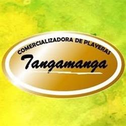 Comercializadora De Playeras Tangamanga en San Luis Potosí (Jardines Del Estadio) - Horario de apertura
