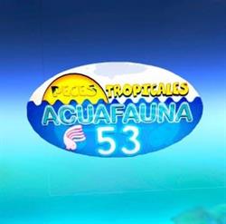 Acuafauna en San Francisco de Campeche (Centro Sct Campeche) - Horario de apertura