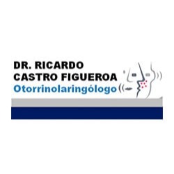 Dr. Ricardo Castro Figueroa en Guadalajara (Rojas Ladron De Guevara) - Horario de apertura