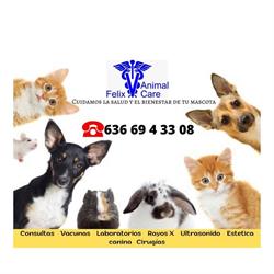 Veterinaria Brangus (Felix Animal Care) en Nuevo Casas Grandes (Nuevo Casas Grandes Centro) - Horario de apertura