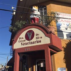 Veterinaria Dr. Silva en Nuevo Laredo (Reynosa) - Horario de apertura