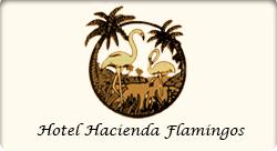 Hotel Hacienda Flamingos en San Blas (San Blas) - Horario de apertura