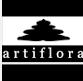 Artiflora - Flores y Follajes Deshidratados en Ciudad de México (La Magdalena Contreras) - Horario de apertura