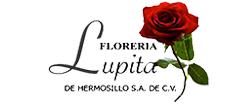Horario de apertura Floreria Lupita De Hermosillo,