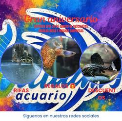 Acuario William's en Puebla (Los Remedios) - Horario de apertura
