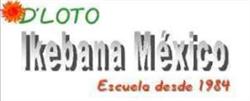D´Loto Arte Flores y Decoración en Puebla (Ampliación Reforma) - Horario de apertura