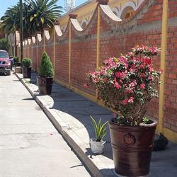 Motel América en Durango (Las Américas) - Horario de apertura