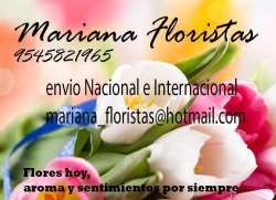 Mariana Floristas en Puerto Escondido (Centro, Sector Juarez) - Horario de apertura