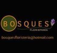 Bosques Floristería en Cuernavaca (Centro) - Horario de apertura
