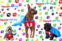Veterinaria Underdog en Ciudad de México (Barrio De La Magdalena Culhuacan) - Horario de apertura