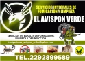 Fumigaciones Avispón S. C. de C. V. en Veracruz (Frac. A. Ruiz Cortinez) - Horario de apertura