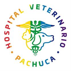 Horario de apertura Hospital Veterinario Peques Pachuca, Pachuca de Soto