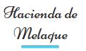 Hotel Hacienda de Melaque en San Patricio O Melaque (Col Centro) - Horario de apertura