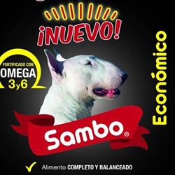 Vettoro en Torreón (Abastos) - Horario de apertura