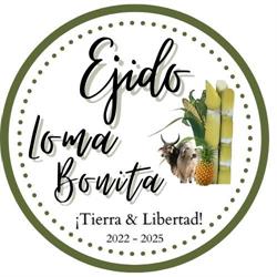 Horario de apertura Ejido Loma Bonita, 