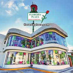 Floreria Plaza Lomas en Tampico (Lomas De Rosales) - Horario de apertura