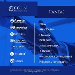 COLIN SEGUROS Y FIANZAS en Tlaxcala de Xicotencatl (Colinas Del Sur) - Horario de apertura