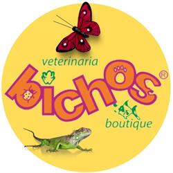 Bichos Boutique en Ciudad de México (Doctores) - Horario de apertura