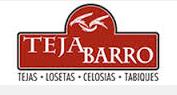 Teja Barro en Veracruz (Pedro Ignacio Mata) - Horario de apertura
