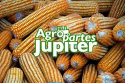 Agropartes Jupiter S.a de C.v en Villaflores (Barrio El Bajial) - Horario de apertura