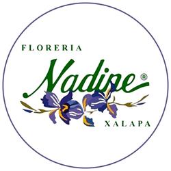 Floreria Nadine Xalapa en Veracruz (Centro) - Horario de apertura