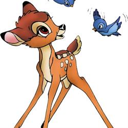Centro Infantil de Desarrollo Integral Bambi en Morelia (Nueva Valladolid) - Horario de apertura