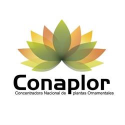 Conaplor Spr de rl en Cuautla de Morelos (Casasano) - Horario de apertura